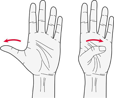 drawing of two hands showing stretching motions of the thumbs